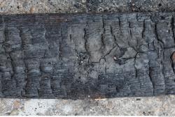 Burned Wood